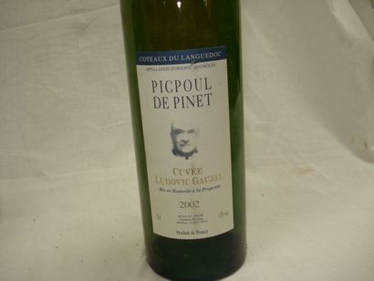 null 5 bouteilles de Picpoul de Pinet, cuvée Gaujal, 2002
