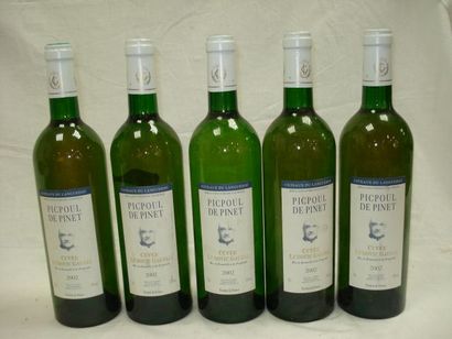 null 5 bouteilles de Picpoul de Pinet, cuvée Gaujal, 2002