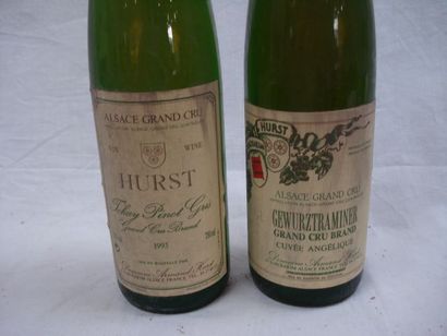 null Lot de 3 bouteilles : 1	 de Tokay Pinot Gris Grand Cru , domaine Hurst	 1993
1	...