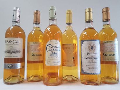 null Lot de 6 bouteilles : 1 Jurançon AOC 2004 ; 1 Jurançon Domaine Castera Récoltant...