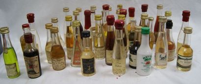 null Lot de 40 mignonettes d'alcools (pleines).