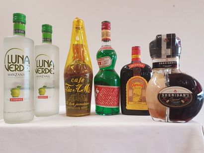 null Lot de 6 bouteilles : 1 Liqueur de Café Jamaicano Distillerie Morey (70 cl)...