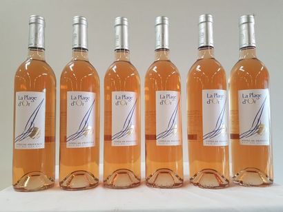 null 6 bouteilles de Côtes de Provence Rosé, La Plage d'Or, 2015