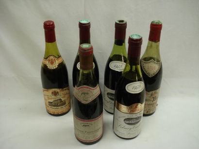 null Lot de 6 bouteilles de Bourgogne : 1 Chassagne Montrachet Clos Saint Jean 1977...