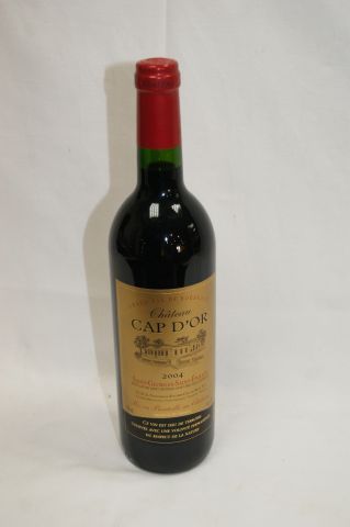 null 6 bouteilles de Saint Georges Saint Emilion, Château Cap d'Or, 2004. CBO (manque...