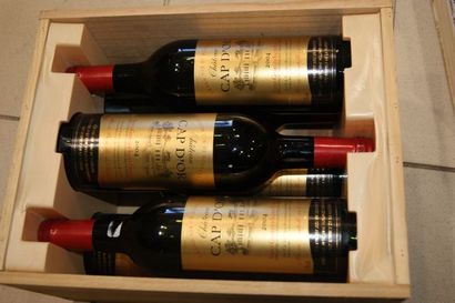 null 6 bouteilles de Saint Georges Saint Emilion, Château Cap d'Or, 2004. CBO (manque...