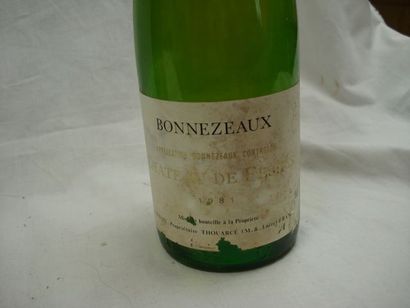 null 2 bouteillles de Bonnezeaux, Château de Fesles	1981