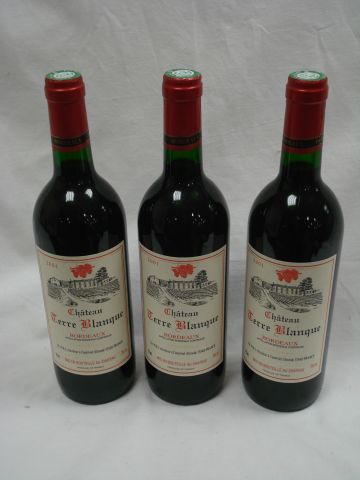 null 3 bouteilles de Bordeaux Chate'au Terre Blanque , 2001.