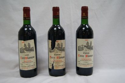 null 3 bouteilles de Bordeaux Chateau Terreblanque , 1989. Ea