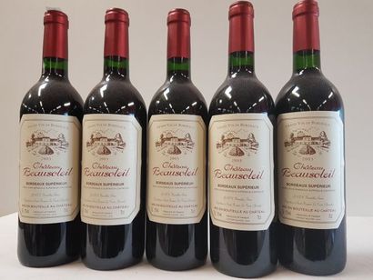 null 5 bouteilles de Château Beausoleil, Bordeaux Supérieur, Vignobles Bourdillon,...