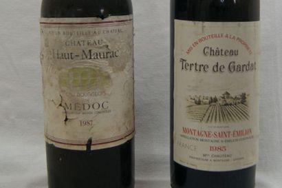 null Lot de 2 bouteilles : 1 de Montagne Saint Emilion, Château Tertre de Gargat,...