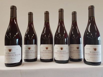 null 6 bouteilles de Bourgogne, Hautes Côtes de Beaune, Henri de Bareuil, 2015