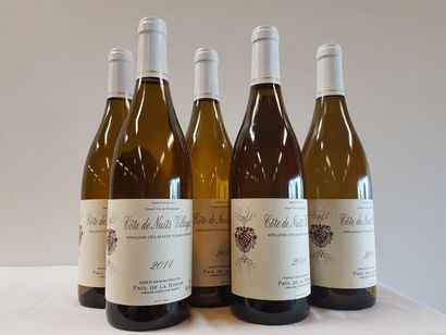 null 6 bouteilles de Bourgogne Blanc, Côtes de Nuits Villages, Paul de la Ronce,...