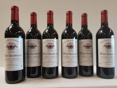 null 6 bouteilles de Château Haut Canterane, Côtes de Bourg, Franck Dubourg, 200...