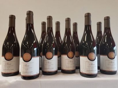 null 12 bouteilles de Chenas, Cru du Beaujolais, Jean Olivier Le Saint, 2014