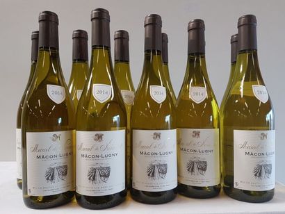 null 12 bouteilles de Bourgogne Blanc, Macon Lugny, Marcel de Normont, 2014