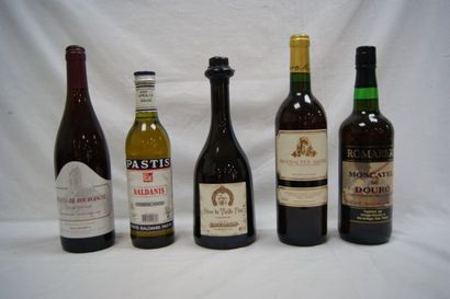 null Lot de 5 bouteilles d'apéritifs : Pastis, Sève de Vielle Fine, Ratafia de Bourgogne,...