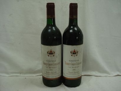 null 2 bouteilles de Saint-Julien, Château Terrey-Gros-Caillou, 1991. (els)