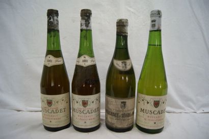 null Lot de 4 bouteilles de Muscadet Sèvre et Maine, 2 de 1981, 2 sans date. (B et...