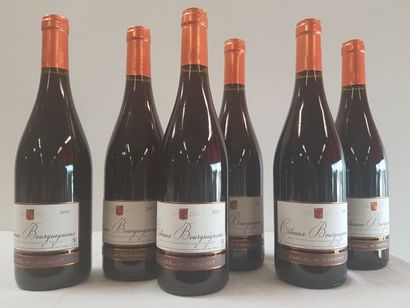 null 6 bouteilles de Côteaux Bourguignons, Marcel de Normont, 2015