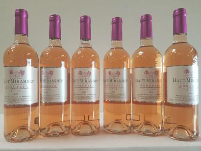 null 6 bouteilles de Château Haut Mirambet, Bordeaux Rosé Sec, Récoltant GAEC Mirambet,...