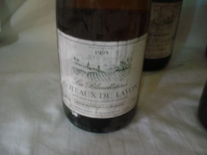 null 6 bouteilles de Côteaux du Layon, Les Blanchetières, 1995 (es)