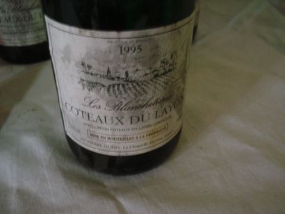 null 6 bouteilles de Côteaux du Layon, Les Blanchetières, 1995 (es)