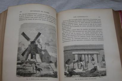 null FIGUIER "Le Savant du Foyer" Hachette, 1870. Illustré.