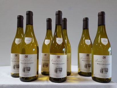 null 7 bouteilles de Bourgogne Blanc, Macon Lugny, Marcel de Normont, 2014