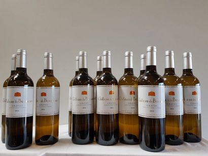null 12 bouteilles de Graves Blanc, Château de Bessanes, 2013