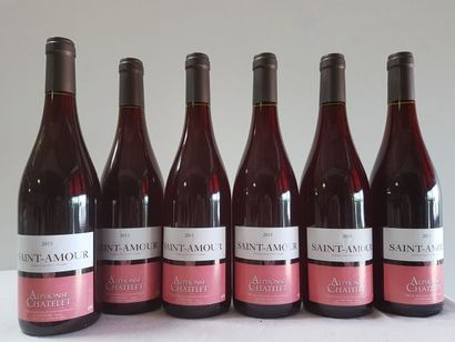 null 6 bouteilles de St Amour, Cru du Beaujolais, Alphonse Chatelet, 2015