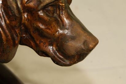 null MADEM Sculpture en plâtre patiné figurant un chien de chasse. Long.: 56 cm