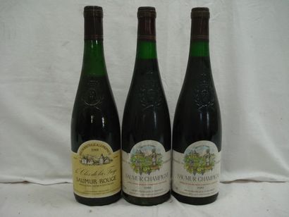 null 2 bouteilles de Saumur Champigny, domaine des Charbonnières, 1989. On y joint...