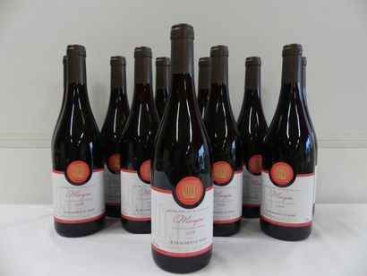 null 11 bouteilles de Morgon, Cru du Beaujolais, Jean Olivier Le Saint, 2014