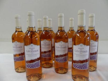 null 12 bouteilles de Provence Rosé, Domaine des Lavandes, Côteaux d'Aix en Provence,...