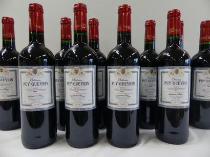 null 12 bouteilles Château Puy Guerin, Blaye Côtes de Bordeaux, Récoltant Danièle...