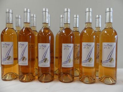 null 12 bouteilles de Provence Rosé, La Plage d'Or, La Baie des Iles d'Or, La Londe...