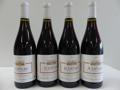 null 4 bouteilles de Juliénas, Claude Ruet, 2014