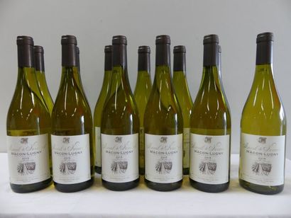 null 12 bouteilles de Macon Lugny Blanc, Marcel de Normont, 2015