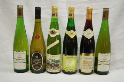 null Lot de 6 bouteilles de vins alsaciens : Muscadet Côtes de Grandlieur 1999, Riesling...
