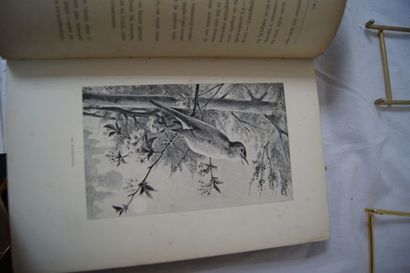 null Lot de 4 livres : Pierre Ficy "La destinée de Silvere" Hachette, 1895 / De Cherville...