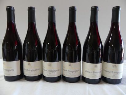 null 6 bouteilles de Côteaux Bourguignons, La Vieille Barrique, Domaine de Rochebin,...