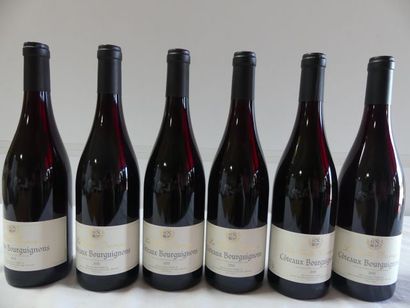 null 6 bouteilles de Côteaux Bourguignons, La Vieille Barrique, Domaine de Rochebin,...
