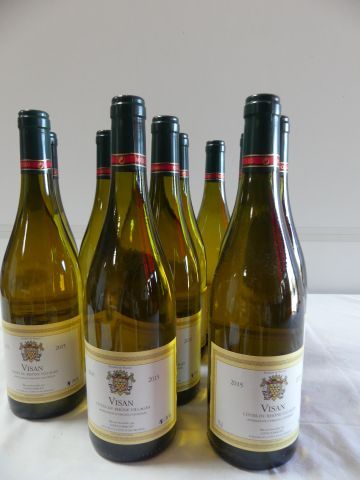 null 10 bouteilles de Visan, Côtes du Rhône Villages Blanc, Louis d'Armont, 2015