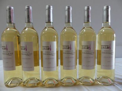 null 6 bouteilles de Provence Blanc, Domaine de Favanquet, 2015