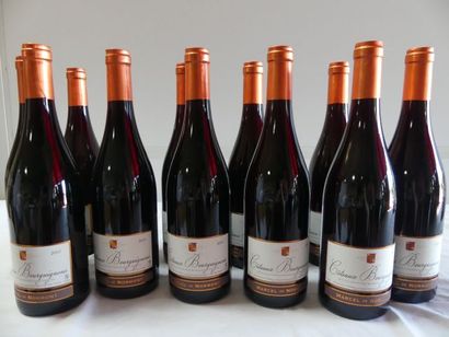 null 12 bouteilles de Coteaux Bourguignons, Marcel de Normont, 2015