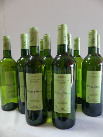null 12 bouteilles Entre Deux Mers Blanc Sec, La Girondaise, Famille Excellor, 2...