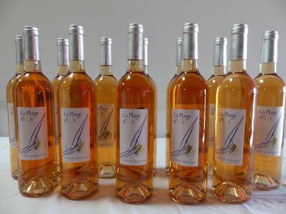 null 12 bouteilles de Provence Rosé , La Plage d'Or, La Baie des iles d'Or, 2015