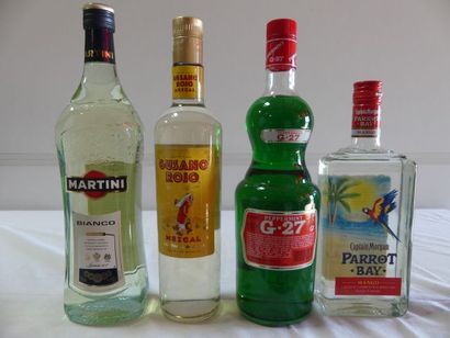 null lot de 4 bouteilles : 1 Martini Blanc, 1 Gusano Rojo, 1 Peppermint G-27 et 1...