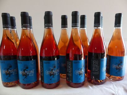 null 12 bouteilles de Chateaumeillant Rosé AOC 2013